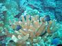 07Moorea - 15